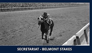 Image result for Secretariat at Belmont Stakes