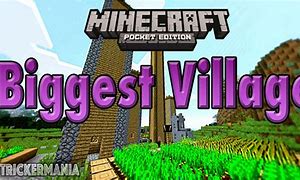 Image result for Biggest Seed in the World
