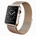 Image result for Gold Milanese Loop Apple Watch Band