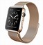 Image result for Double Magnetic Band Apple Watch