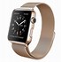 Image result for apples watch show 3 band magnet