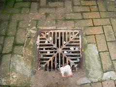 Image result for Cricket Drain