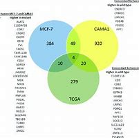 Image result for How Are DNA Genes and Chromosomes Related