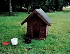 Image result for Doggo House