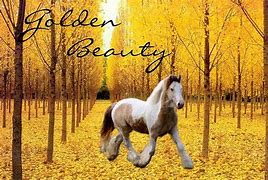 Image result for Gold Beauty Wallpaper