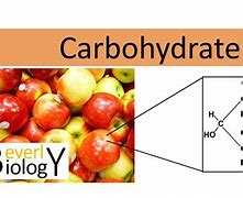 Image result for Apple Carbohydrates Structure