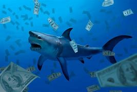 Image result for Shark Tank Money