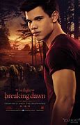 Image result for Breaking Dawn Cover