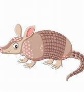 Image result for Armadillo Dibujo