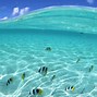 Image result for Underwater Desktop Wallpaper
