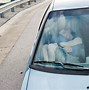 Image result for Car Window Covers Privacy