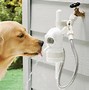 Image result for Dog Safety, Household Products