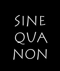 Image result for Sine Qua Non In the Abstract