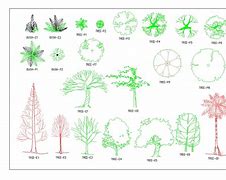 Image result for CAD Block of Trees with Name of Tree