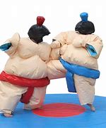 Image result for Giant Sumo Suits