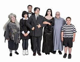 Image result for Addams Family Characters Costumes