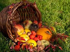 Image result for Thanksgiving Fruit Basket