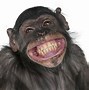Image result for Picture of Hilarious Laugh