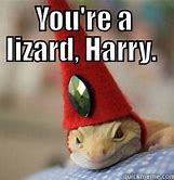 Image result for Funny Lizard Memes