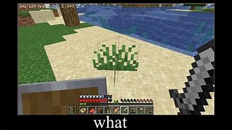 Image result for Sand Wait What Meme Minecraft
