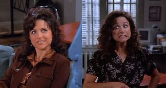 Image result for Elaine From Seinfeld Now