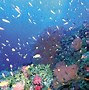 Image result for Beneath the Sea