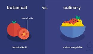 Image result for Common Fruits and Vegetables