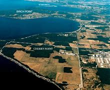 Image result for Cherry Point Agria