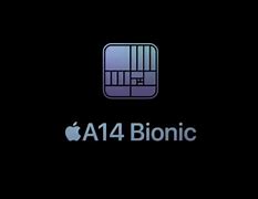 Image result for A14 Bionoc Chip