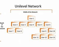Image result for Binary Network