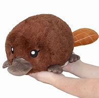 Image result for Small Baby Stuffed Animals