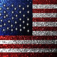 Image result for Sparkly Pink American Flag