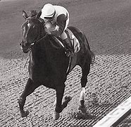 Image result for Ruffian Injury