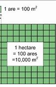 Image result for How Big Is a Hectare of Land