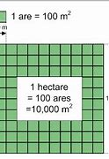 Image result for How Big Is One Hectare