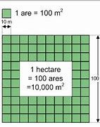 Image result for How Big Is 23 Square Meters
