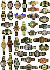 Image result for Wrestling Belt Collector
