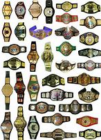 Image result for All Wrestling Belts