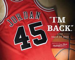 Image result for Michael Jordan 45 Jersey
