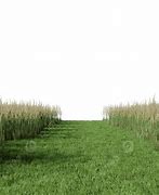 Image result for Grass Valley PNG