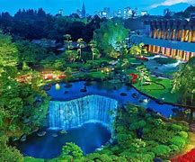 Image result for Tokyo Activities