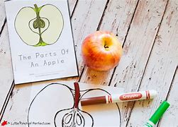 Image result for Apple Book Paper
