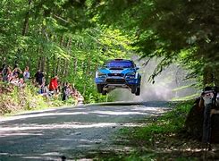 Image result for Dirt Rally Forest