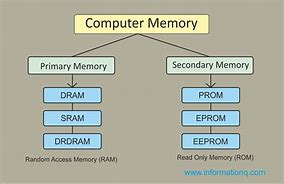 Image result for Memory Diagram
