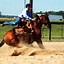 Image result for Western Riding Horse Quotes