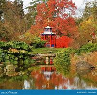 Image result for Autumn Japanese Garden