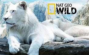 Image result for National Geographic Documentary