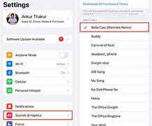 Image result for iPhone Ringtones Product