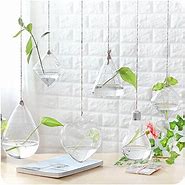 Image result for Wall Hanging Glass Planter