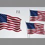 Image result for USA American Symbols